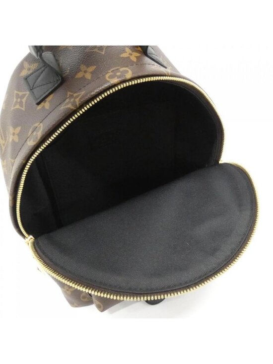 Louis Vuitton Monogram Palm Spring Backpack PM Sac